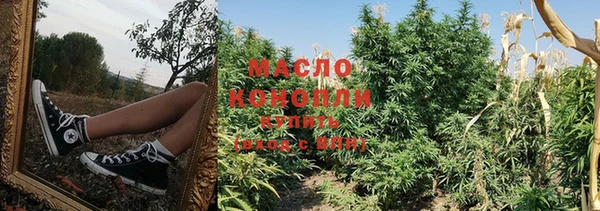 spice Бородино