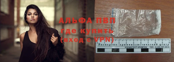 spice Бородино