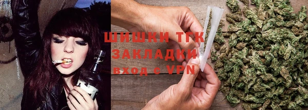 spice Бородино