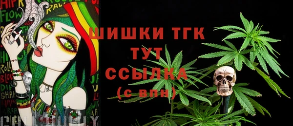 spice Бородино