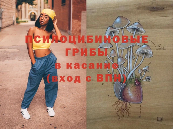 spice Бородино