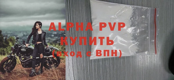 spice Бородино