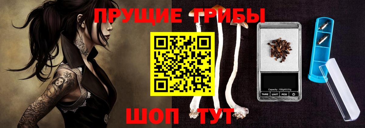 Галлюциногенные грибы прущие грибы  Вход с VPN  Бузулук  Псилоцибиновые грибы прущие грибы 