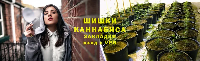 Канабис конопля  Бузулук 